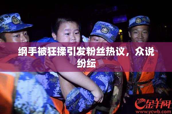 纲手被狂揉引发粉丝热议，众说纷纭