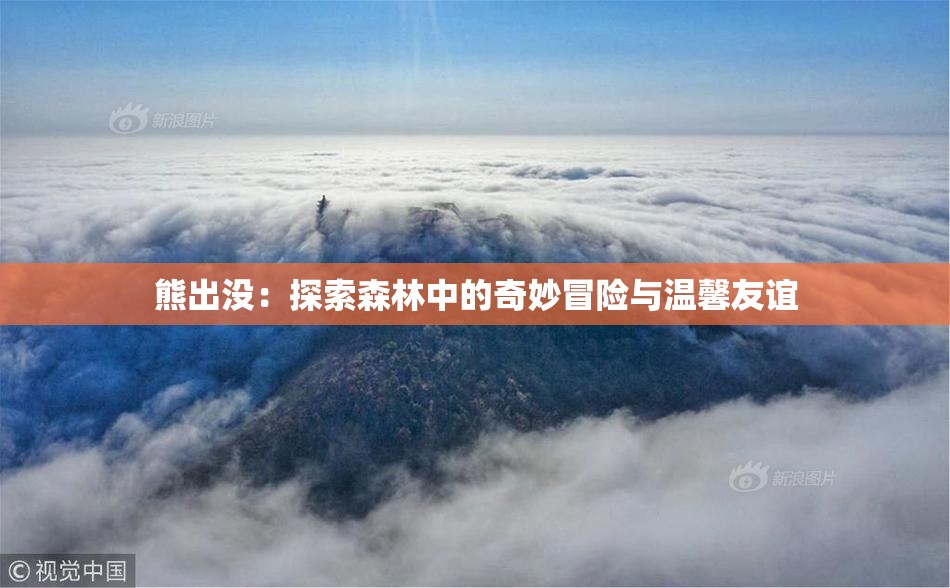 熊出没：探索森林中的奇妙冒险与温馨友谊