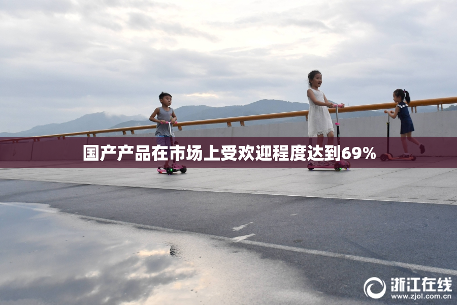国产产品在市场上受欢迎程度达到69%