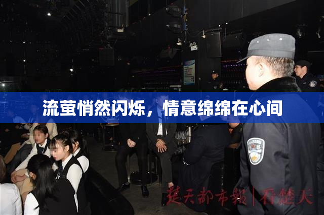 流萤悄然闪烁，情意绵绵在心间