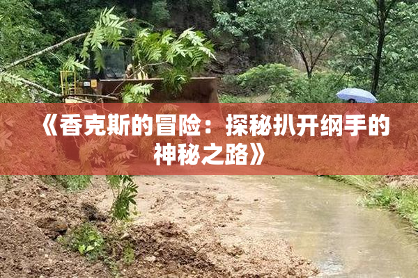 《香克斯的冒险：探秘扒开纲手的神秘之路》