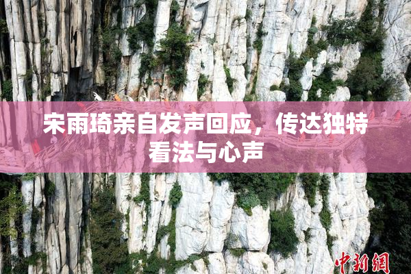宋雨琦亲自发声回应，传达独特看法与心声