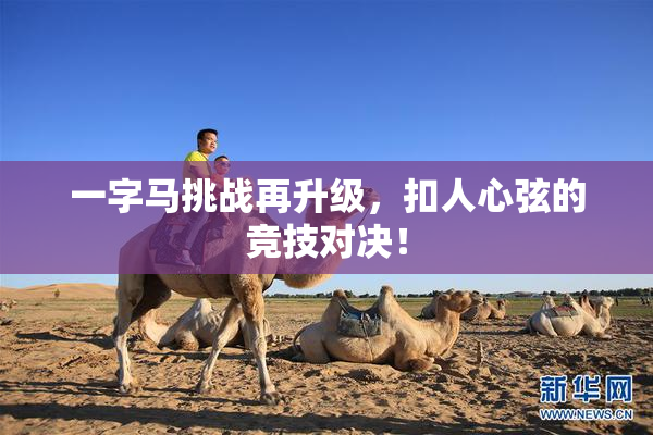 一字马挑战再升级，扣人心弦的竞技对决！