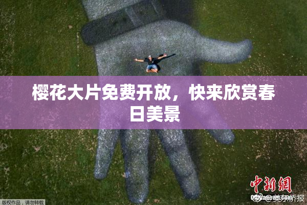 樱花大片免费开放，快来欣赏春日美景