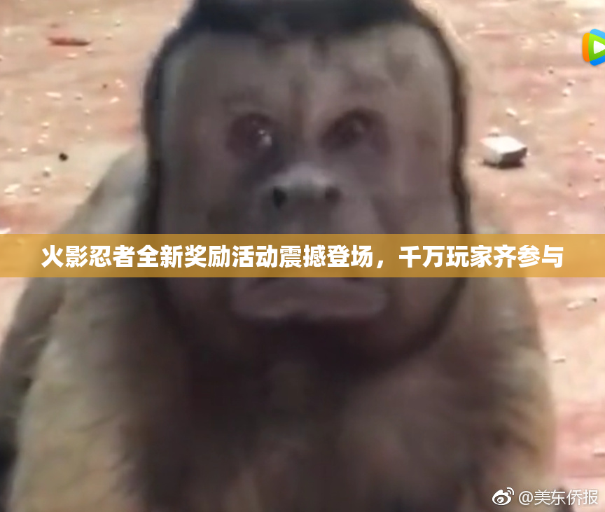 火影忍者全新奖励活动震撼登场，千万玩家齐参与