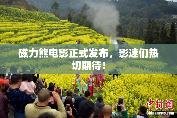 磁力熊电影正式发布，影迷们热切期待！
