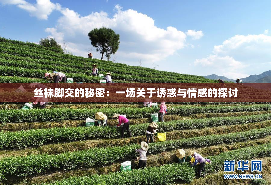 丝袜脚交的秘密：一场关于诱惑与情感的探讨