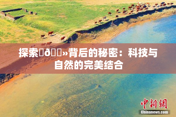 探索‌🐻背后的秘密：科技与自然的完美结合