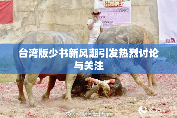 台湾版少书新风潮引发热烈讨论与关注