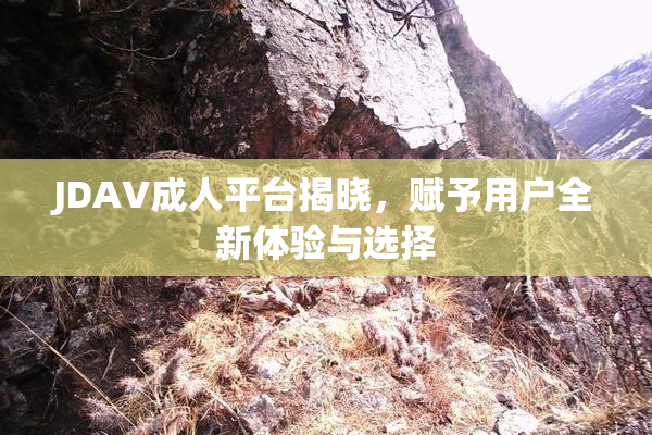 JDAV成人平台揭晓，赋予用户全新体验与选择