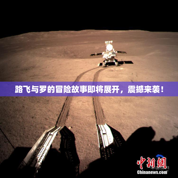 路飞与罗的冒险故事即将展开，震撼来袭！