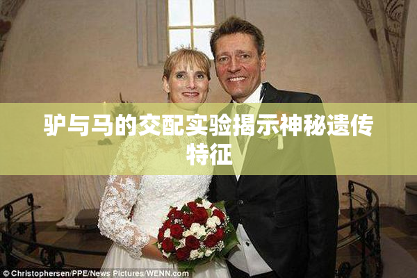 驴与马的交配实验揭示神秘遗传特征