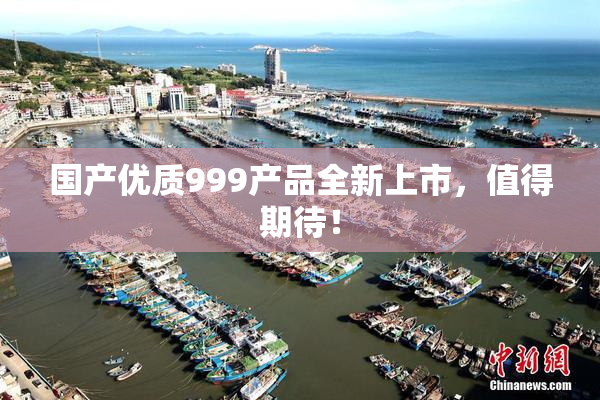 国产优质999产品全新上市，值得期待！