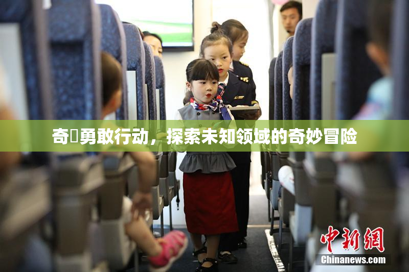 奇犽勇敢行动，探索未知领域的奇妙冒险