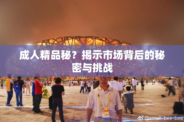 成人精品秘？揭示市场背后的秘密与挑战