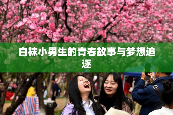 白袜小男生的青春故事与梦想追逐