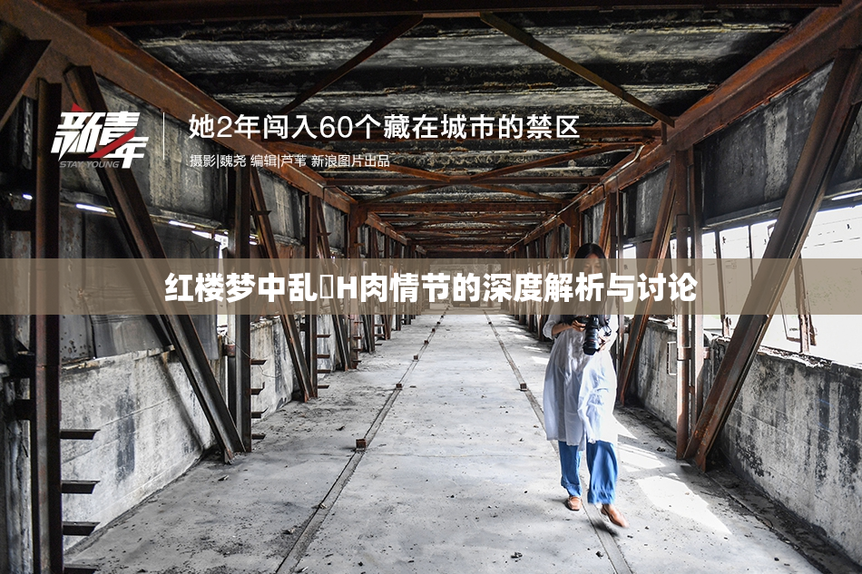 红楼梦中乱婬H肉情节的深度解析与讨论