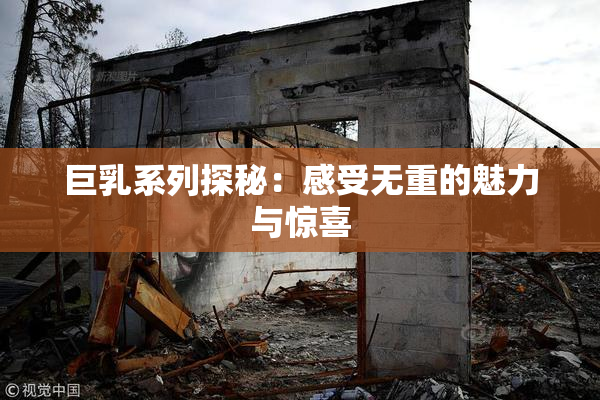 巨乳系列探秘：感受无重的魅力与惊喜