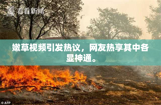 嫩草视频引发热议，网友热享其中各显神通。