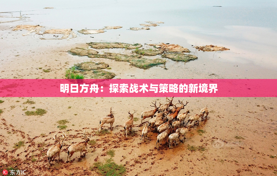 明日方舟：探索战术与策略的新境界