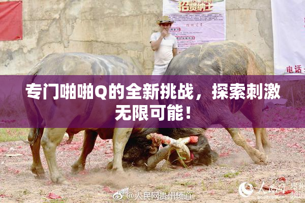 专门啪啪Q的全新挑战，探索刺激无限可能！
