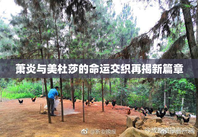 萧炎与美杜莎的命运交织再揭新篇章