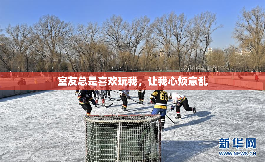 室友总是喜欢玩我，让我心烦意乱