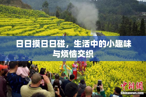 日日摸日日碰，生活中的小趣味与烦恼交织
