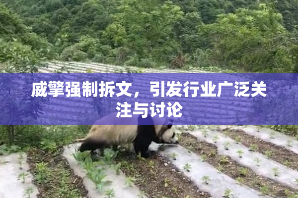 威擎强制拆文，引发行业广泛关注与讨论