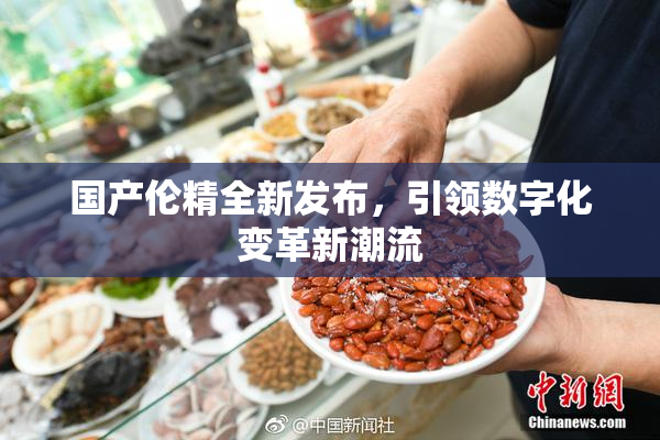 国产伦精全新发布，引领数字化变革新潮流