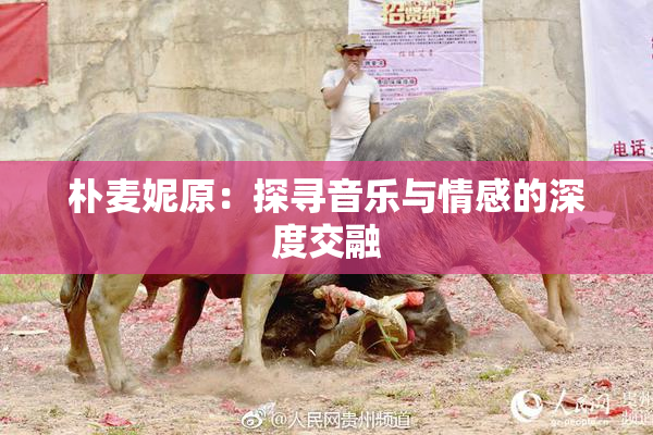 朴麦妮原：探寻音乐与情感的深度交融