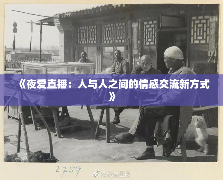 《夜爱直播：人与人之间的情感交流新方式》