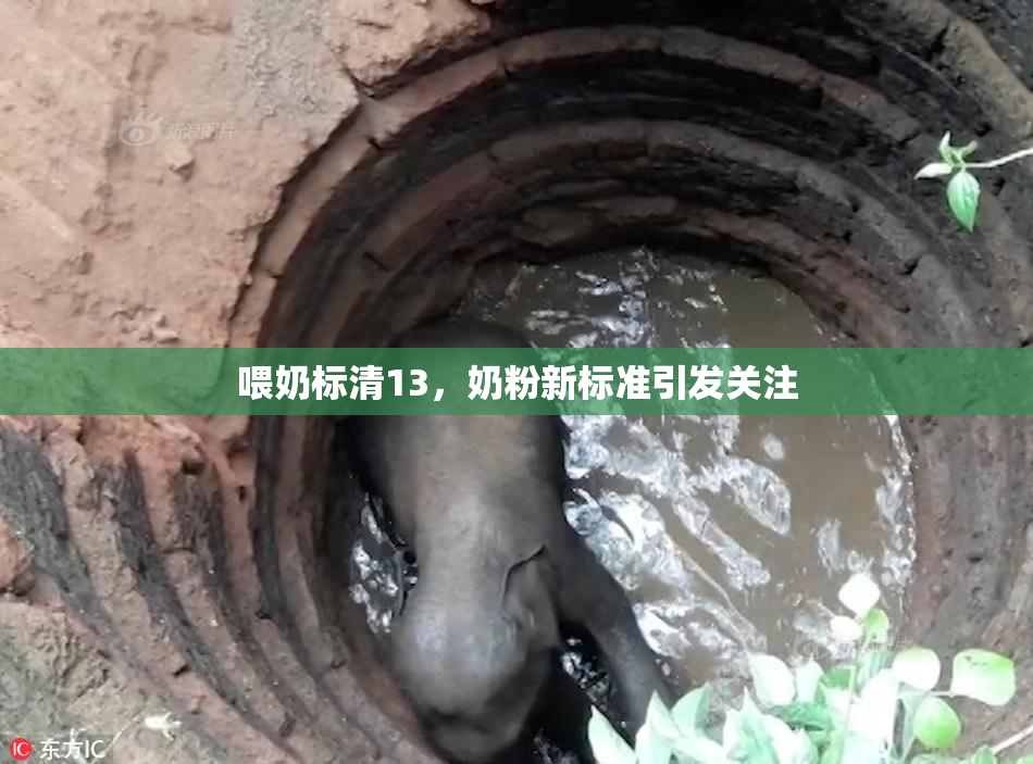 喂奶标清13，奶粉新标准引发关注