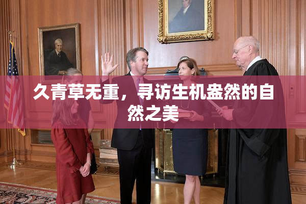 久青草无重，寻访生机盎然的自然之美