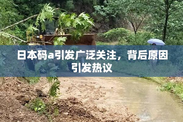 日本码a引发广泛关注，背后原因引发热议
