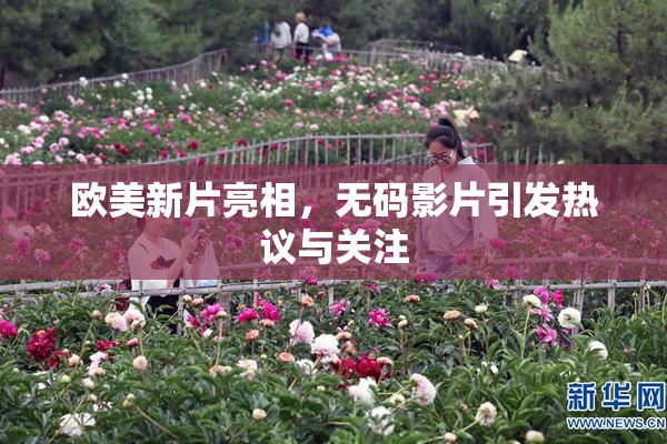欧美新片亮相，无码影片引发热议与关注