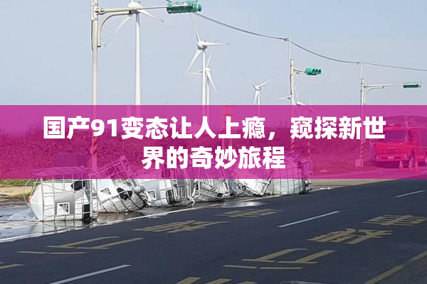 国产91变态让人上瘾，窥探新世界的奇妙旅程