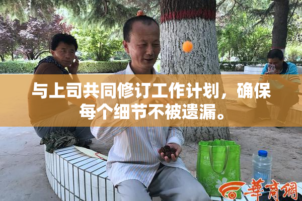 与上司共同修订工作计划，确保每个细节不被遗漏。