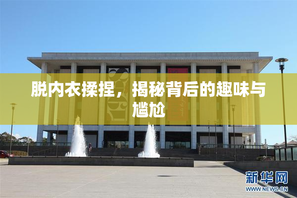 脱内衣揉捏，揭秘背后的趣味与尴尬