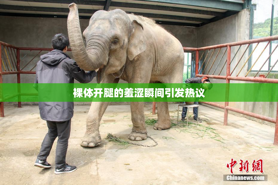 裸体开腿的羞涩瞬间引发热议