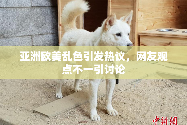 亚洲欧美乱色引发热议，网友观点不一引讨论