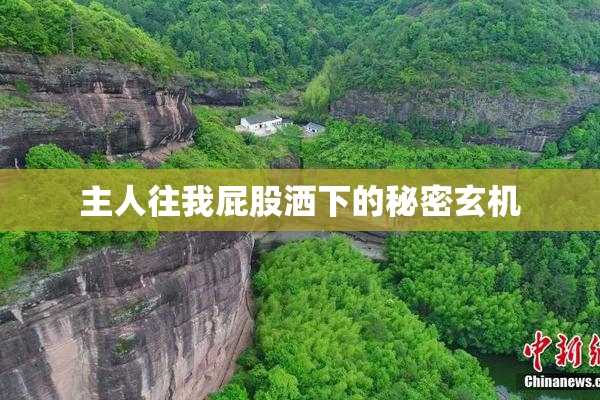 主人往我屁股洒下的秘密玄机