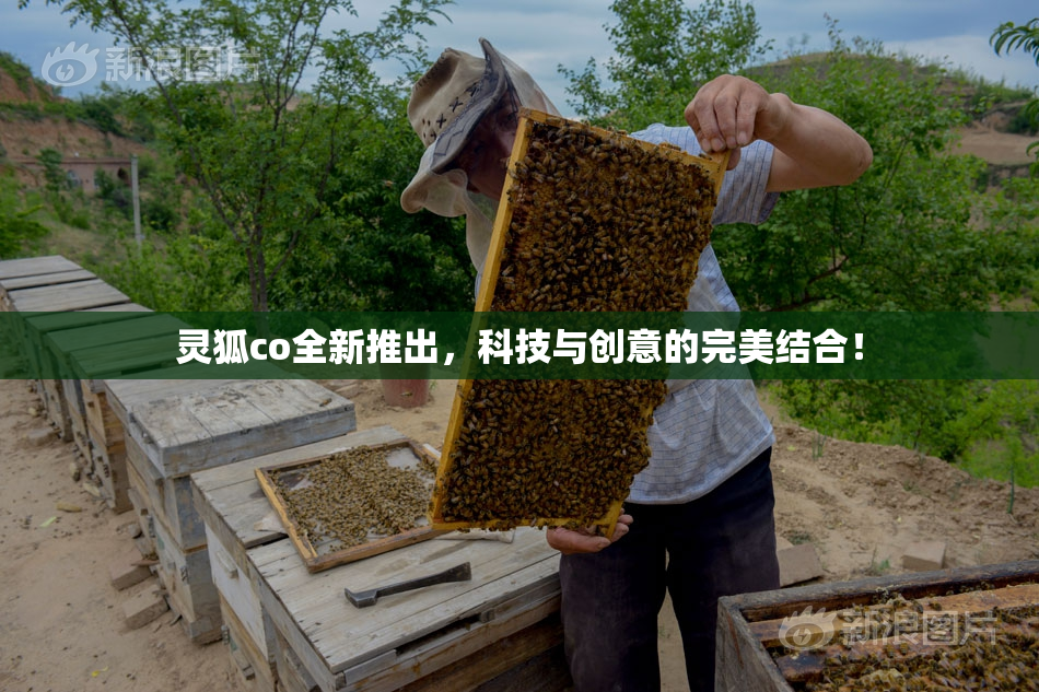 灵狐co全新推出，科技与创意的完美结合！