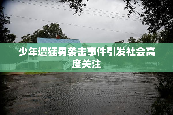 少年遭猛男袭击事件引发社会高度关注