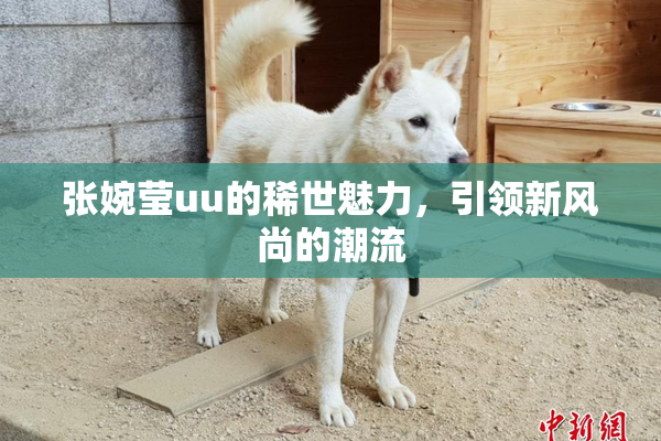 张婉莹uu的稀世魅力，引领新风尚的潮流