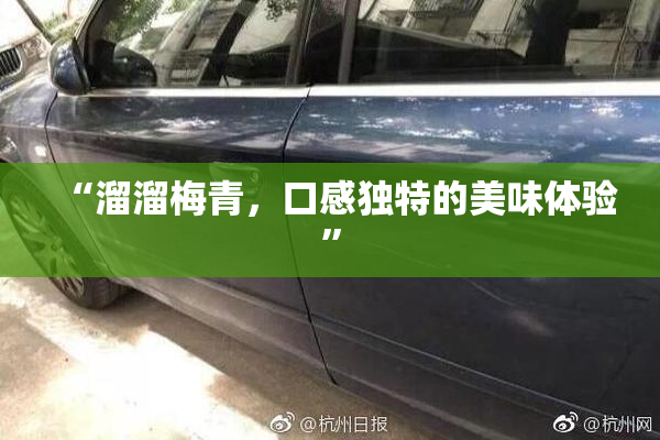 “溜溜梅青，口感独特的美味体验”