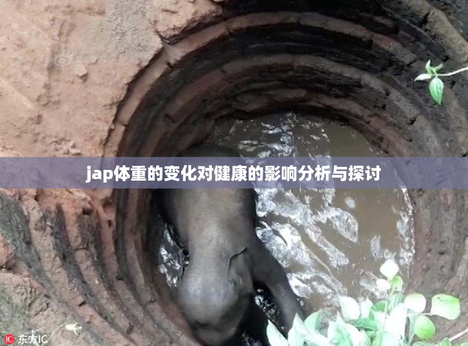 jap体重的变化对健康的影响分析与探讨