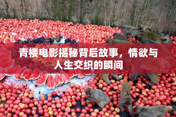 青楼电影揭秘背后故事，情欲与人生交织的瞬间