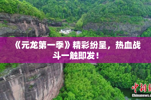 《元龙第一季》精彩纷呈，热血战斗一触即发！