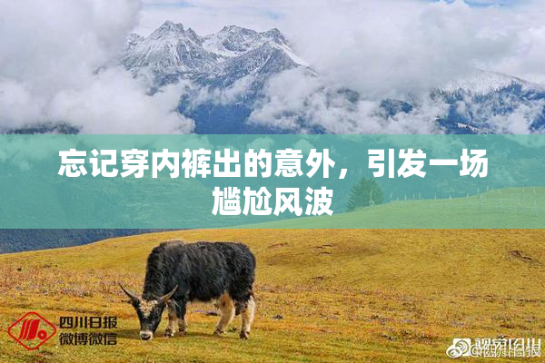 忘记穿内裤出的意外，引发一场尴尬风波
